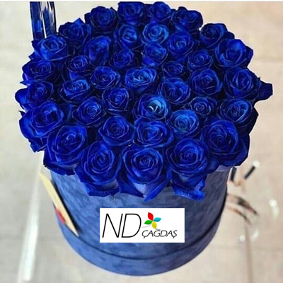 Kutuda Çiçek Mavi Güllerden
